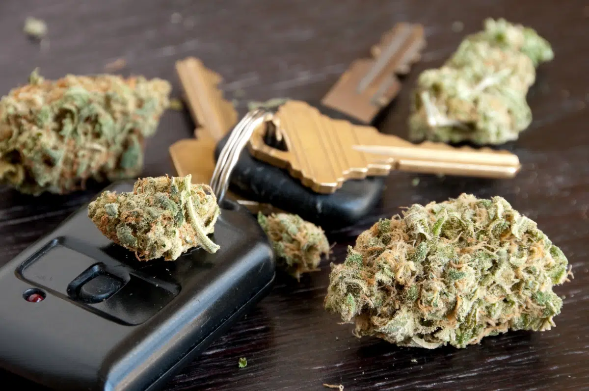 Carrying Marijuana Across State Lines: Fines, Jail Time, and Legal Consequences
